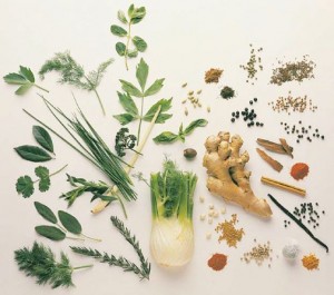 6 أعشاب تستخدم لإنقاص الوزن 